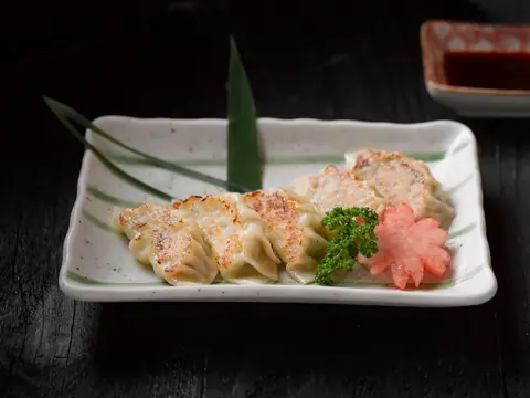 Reference photograph of golden pan-fried gyoza on a rectangular ceramic plate with dipping sauce